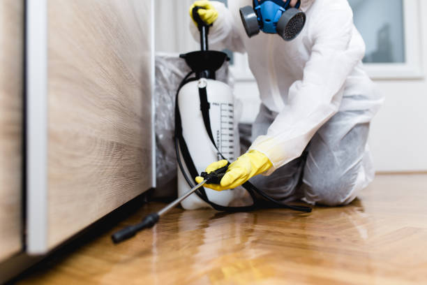 Best Mosquito Control Services  in Enterprise, OR