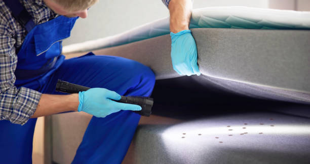Flea Control Services in Enterprise, OR