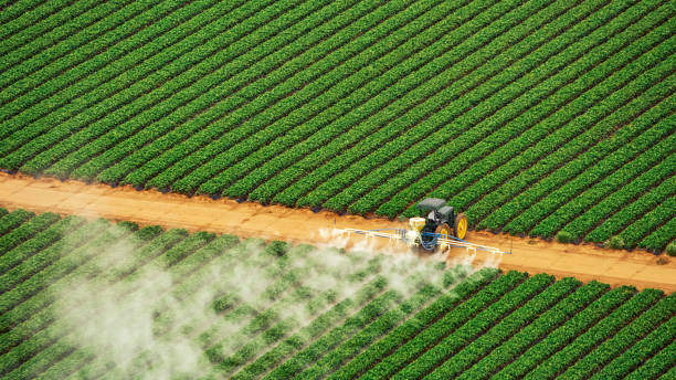 Best Best Pest Control Companies  in Enterprise, OR