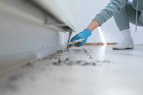 Best Best Pest Control Companies  in Enterprise, OR